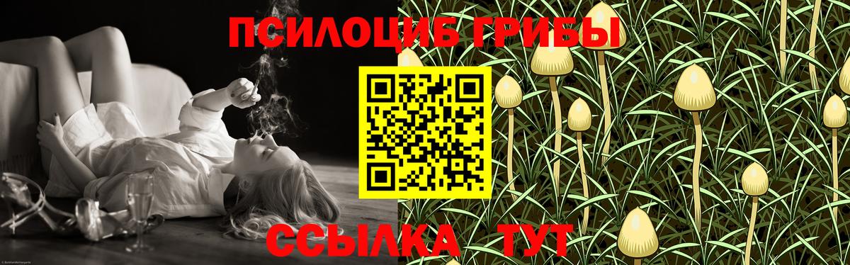 Псилоцибиновые грибы Psilocybine cubensis Йошкар-Ола