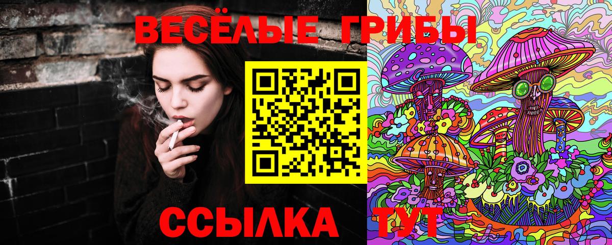 Псилоцибиновые грибы мицелий  Галлюциногенные грибы ЛСД  Вход с VPN  где купить наркоту  Йошкар-Ола 